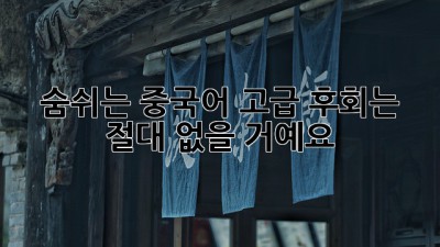 숨쉬는 중국어 고급: 후회는 절대 없을 거예요!
